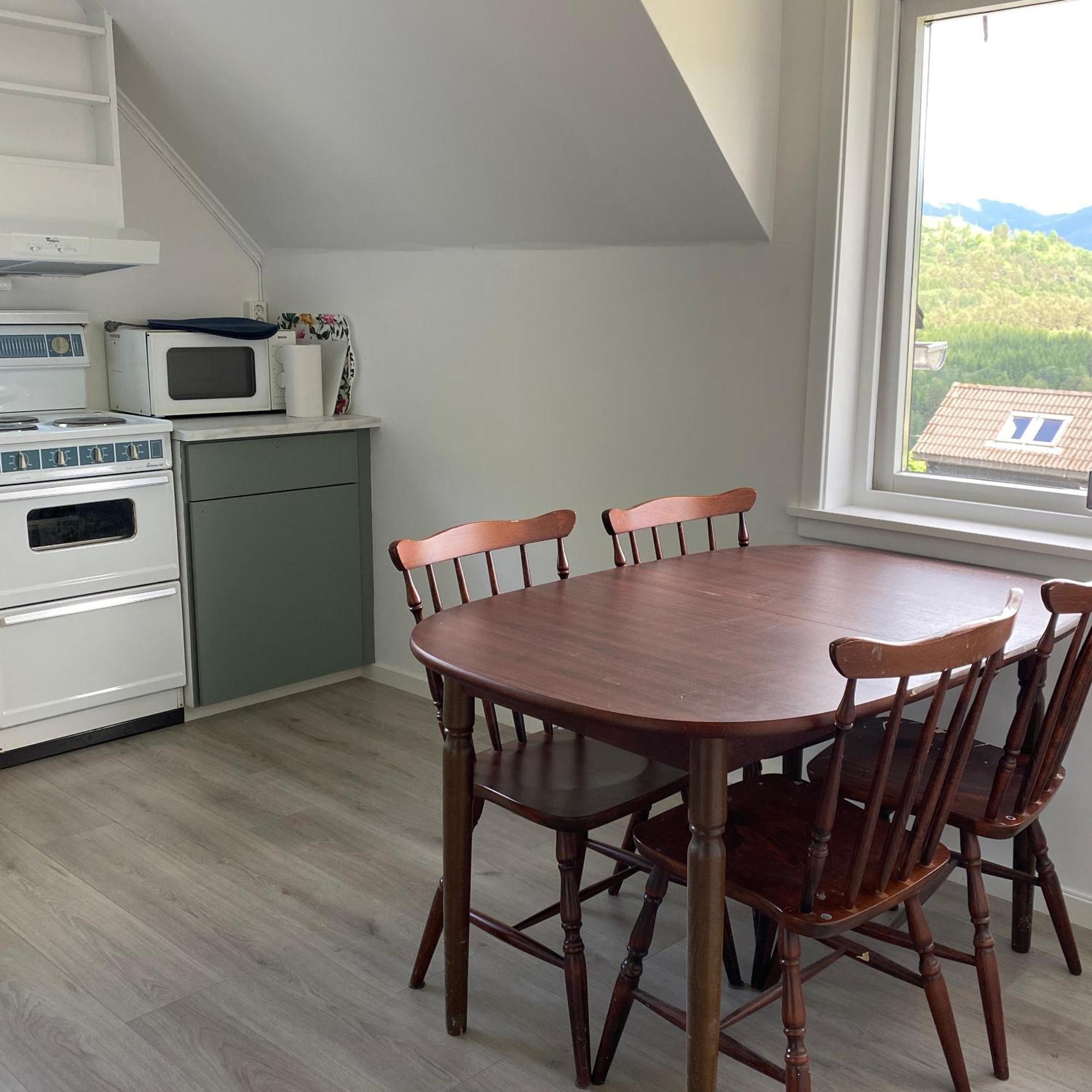 Store Ringheim - Hjadlane Apartment Voss